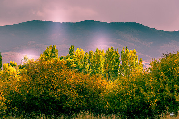 UtahPhotography-190