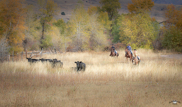 UtahPhotography-195