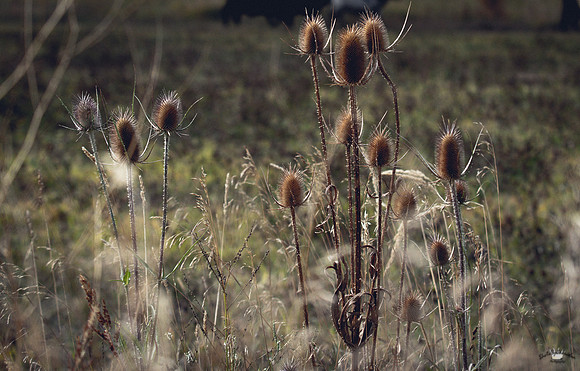 UtahPhotography-207