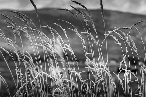 UtahPhotography-210