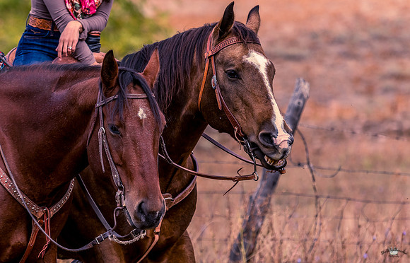 UtahPhotography-213