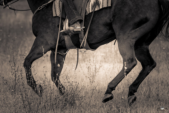 UtahPhotography-228