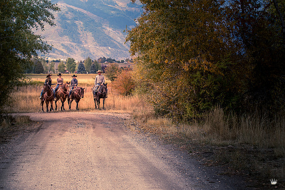 UtahPhotography-230