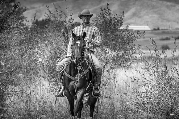 UtahPhotography-242