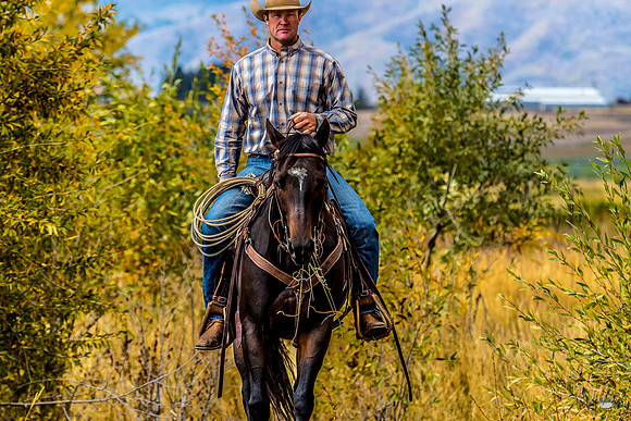 UtahPhotography-243