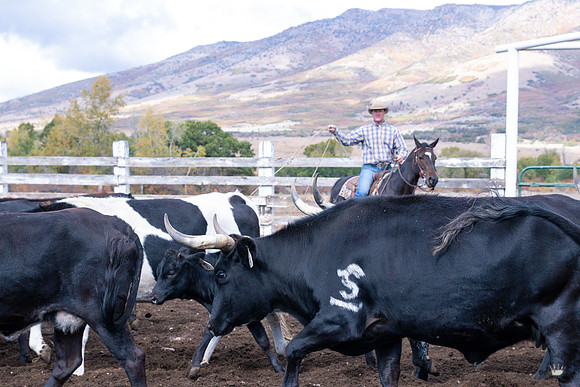 UtahPhotography-251