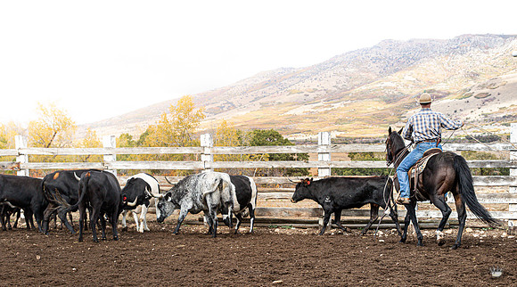 UtahPhotography-253