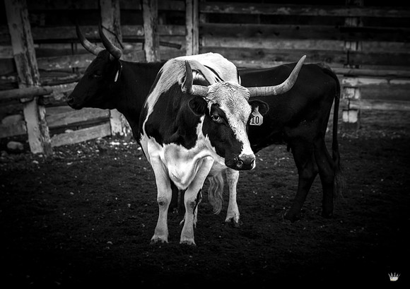 UtahPhotography-258
