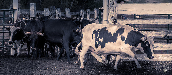 UtahPhotography-269