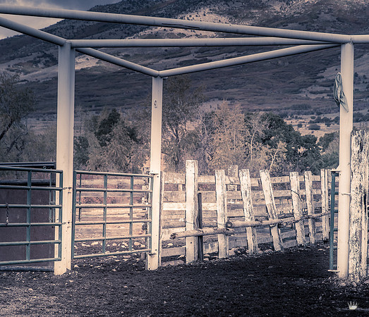 UtahPhotography-267