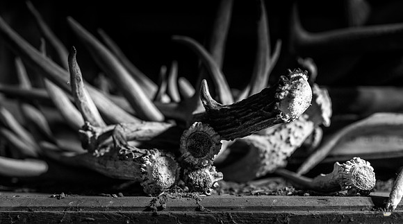 UtahPhotography-277