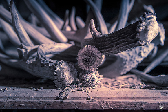 UtahPhotography-278