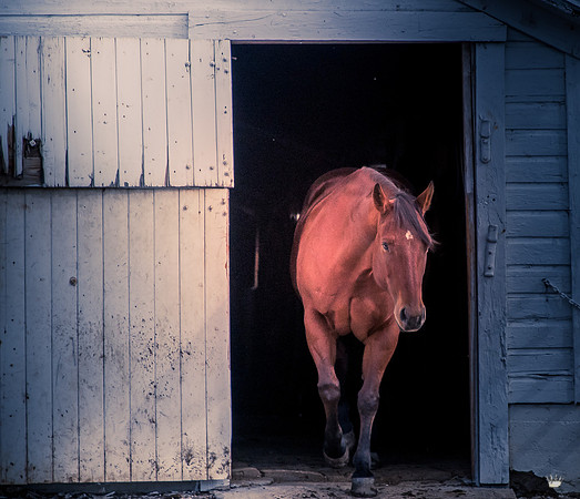 UtahPhotography-286