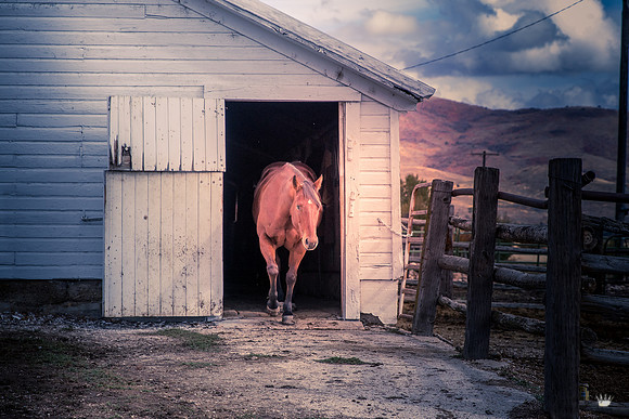 UtahPhotography-287