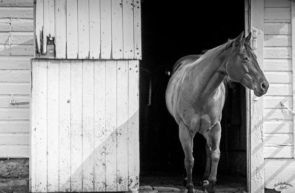 UtahPhotography-292