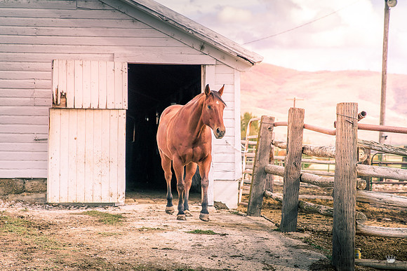 UtahPhotography-288