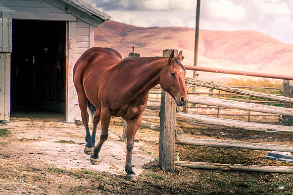UtahPhotography-289
