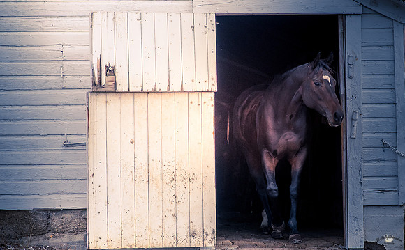 UtahPhotography-294