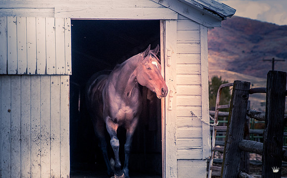UtahPhotography-295