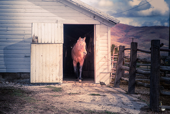 UtahPhotography-291