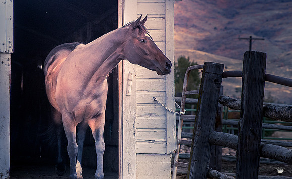 UtahPhotography-297