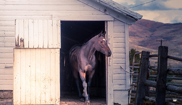 UtahPhotography-296