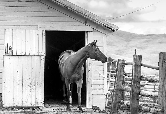 UtahPhotography-298