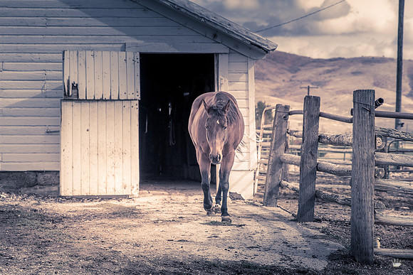 UtahPhotography-293
