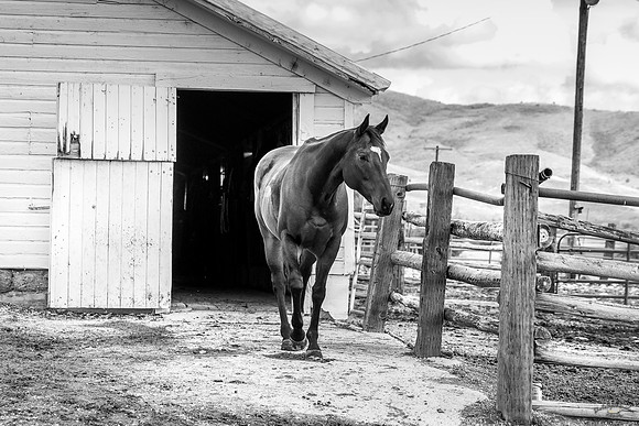 UtahPhotography-299