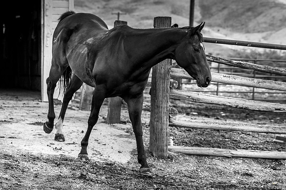 UtahPhotography-300