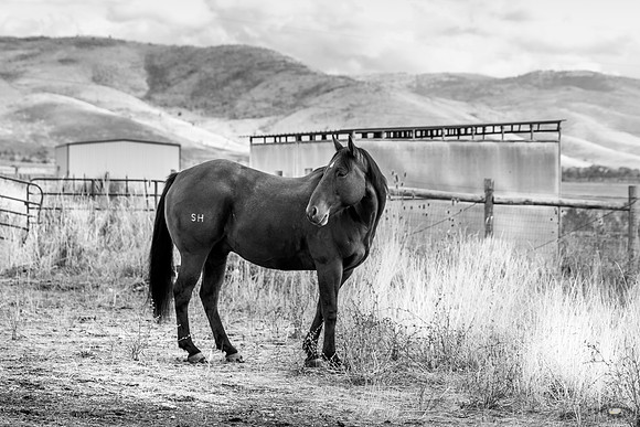 UtahPhotography-301