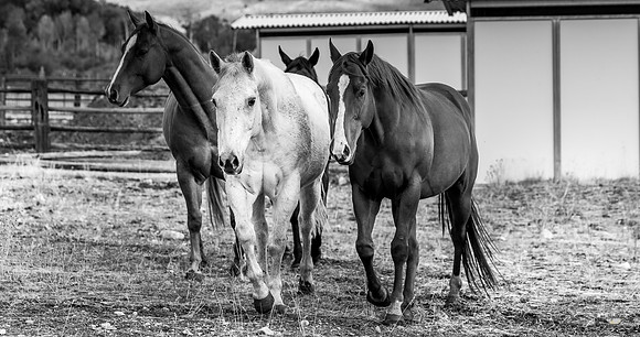 UtahPhotography-302