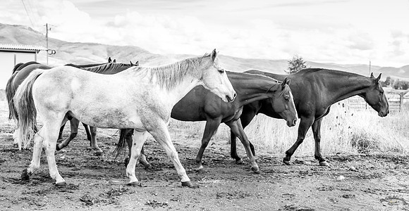 UtahPhotography-304