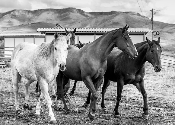 UtahPhotography-303