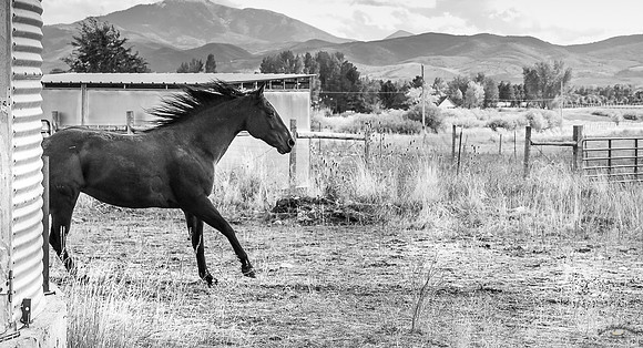 UtahPhotography-305