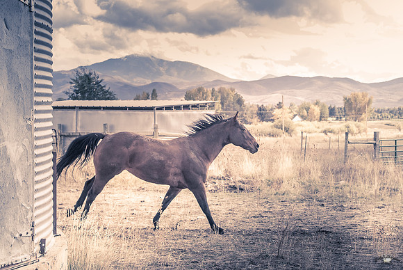 UtahPhotography-306