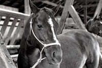 UtahPhotography-4