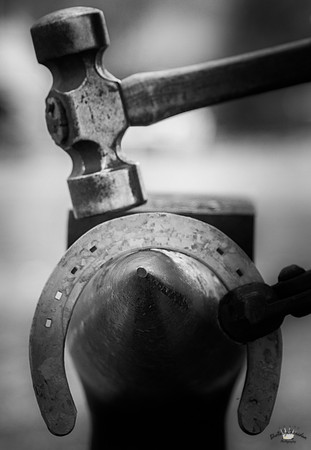UtahPhotography-53