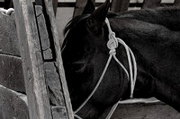 UtahPhotography-5