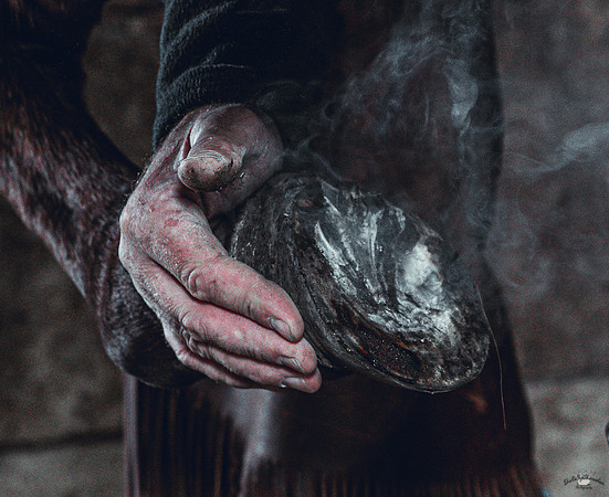 UtahPhotography-60