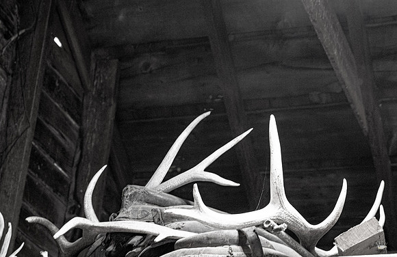 UtahPhotography-6