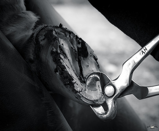 UtahPhotography-81