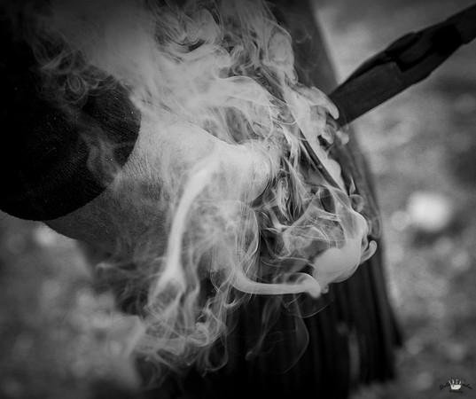 UtahPhotography-94