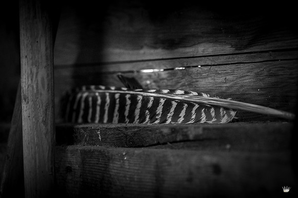 UtahPhotography-96