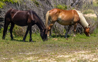 sdkshacklefordbanks-52