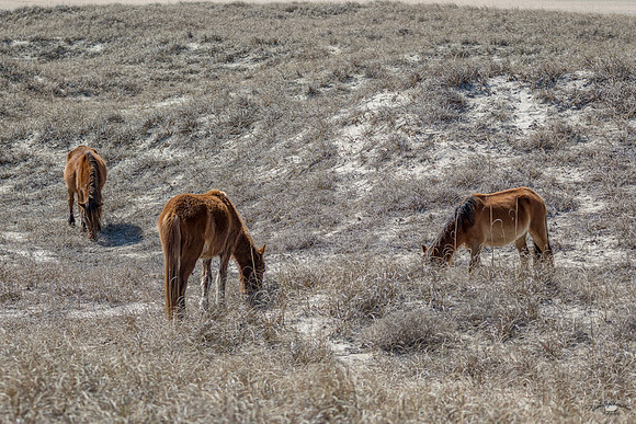 untitled-14