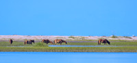 shotsbysheridan-2