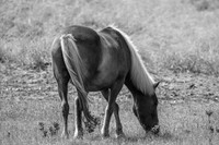 shotsbysheridan-19