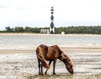 PonyPatrol25-12