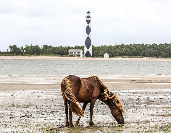 PonyPatrol25-12